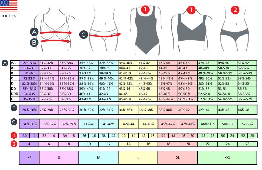 swimsuits with bra cup sizes